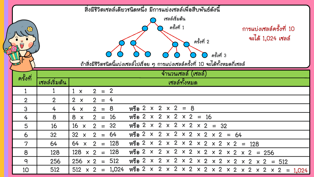 สื่อ powerpoint คณิตศาสตร์ ป.6 หน่วยที่ 5 แบบรูป - Image 15